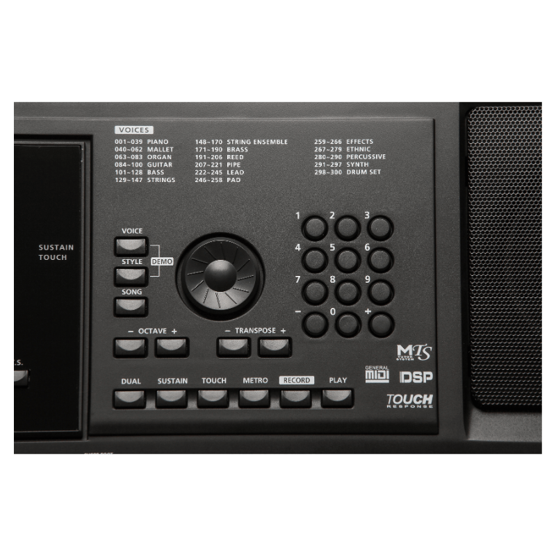 کیبورد آموزشی کورزویل Kurzweil KP80 (9) کیبورد آموزشی کورزویل Kurzweil KP80 - خرید کیبورد آموزشی - کیبورد آموزشی ارزان - خرید ارگ برای آموزش - ارنجر Kurzweil KP80 - ارگ Kurzweil KP80 - کورزویل KP80 - فروشگاه اینترنتی فراصوت